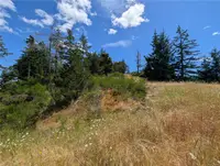 View 46