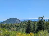 View 32