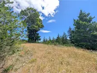 View 24