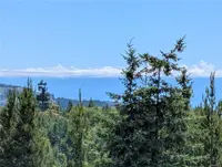 View 38
