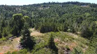View 10