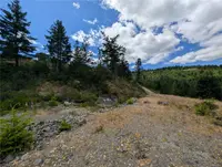 View 14