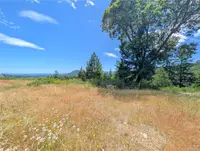 View 41