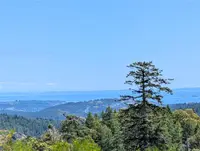 View 50