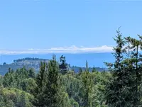 View 37