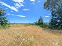 View 40