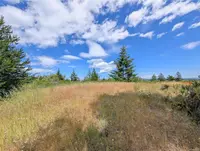View 29