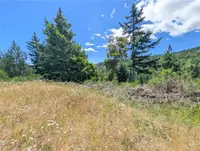 View 25