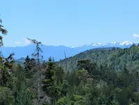 View 23