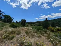 View 13