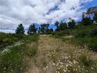 View 12