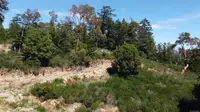View 7