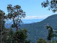 View 28