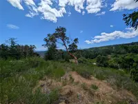 View 24