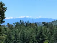 View 18