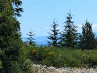 View 11