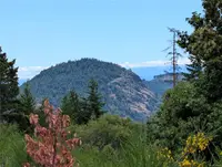 View 19