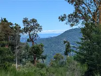 View 29