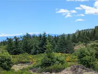 View 4