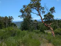 View 21