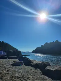 View 89