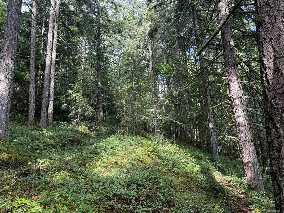 DL106 Grouhel Rd #part, Ladysmith BC V9G 1J5
