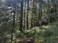 View 4