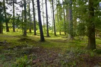 View 45