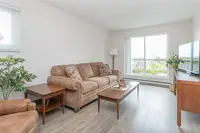 View 15