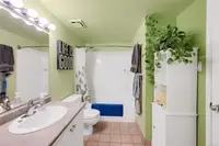 View 27