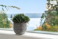 View 6