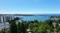 View 31