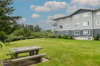 View 29