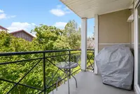 View 14