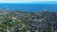 View 66