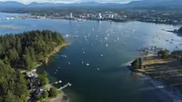 View 52