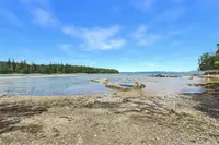 View 49