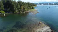 View 50