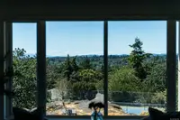 View 38