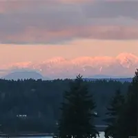 View 77