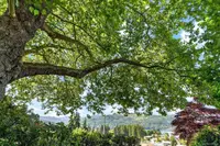 View 24