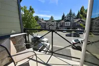 View 15