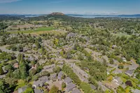 View 40