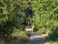 View 19