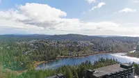 View 39