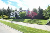 View 53