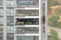 View 25
