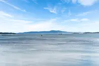 View 42