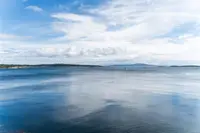 View 60