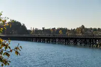 View 50
